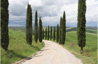 entrance to bacolenno